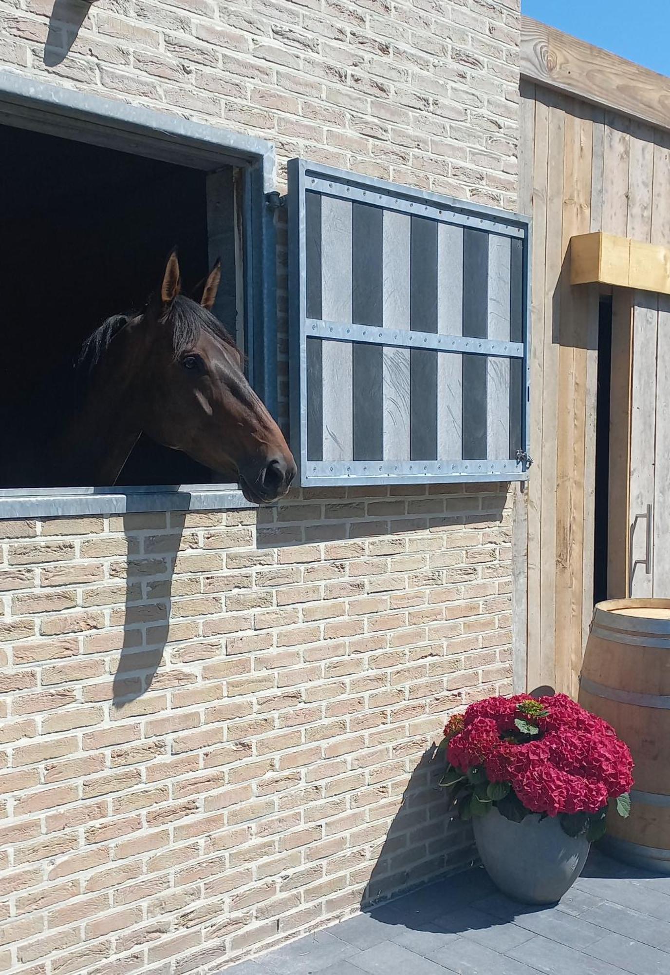 Vakantiehoeve 'De Zandrug' Stekene Exterior foto